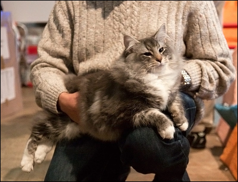 Inconnu 10.jpg - Inconnu